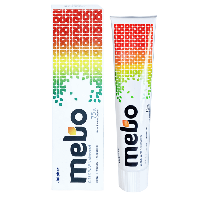 Mebo Ointment 75 g